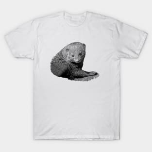 Mongoose T-Shirt